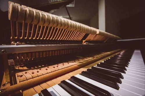 浅析古典钢琴作品在当代的作用和地位