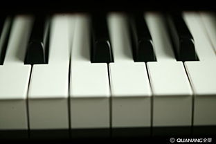 钢琴 黑白键间的永恒乐章